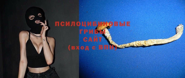 прущий лед Алзамай