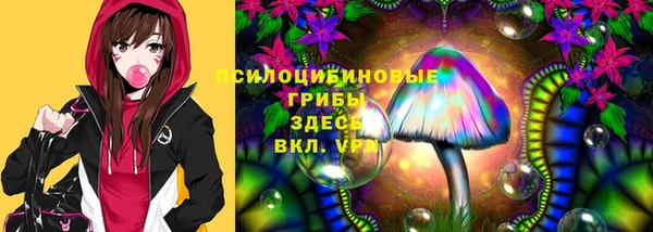 крисы Алексеевка