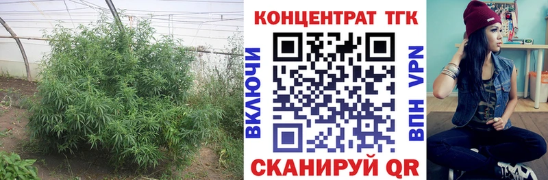 где продают   Камызяк  OMG ссылки  Дистиллят ТГК вейп 