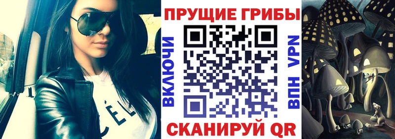Галлюциногенные грибы прущие грибы  MEGA tor  Камызяк 